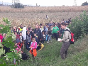 21761686_843509549149558_4413539216419314604_n